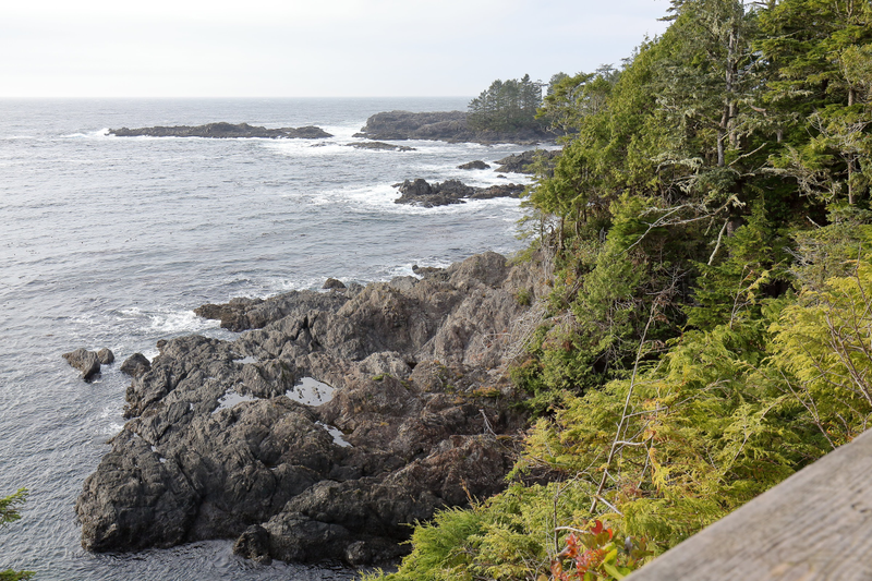 Illustration for article titled Trip Recap: 2017-12-09 on the Pacific Rim Highway to the Wild Pacific Trail